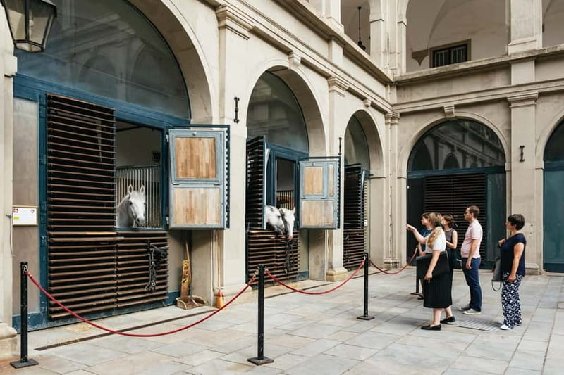 Vienna: Spanish Riding School Guided Architectural Tour - Starting at Michaelerplatz