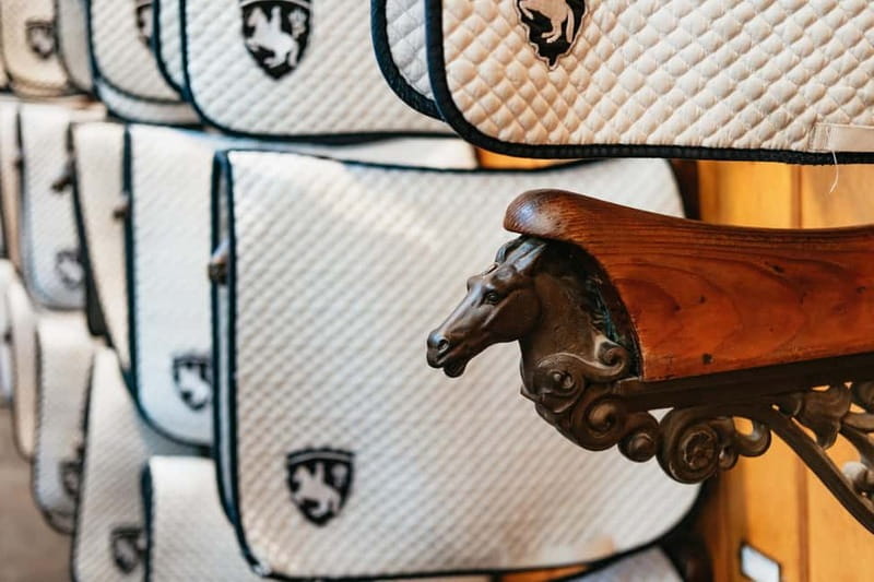 Vienna: Spanish Riding School Guided Architectural Tour - Into the 250-Year-Old Attic