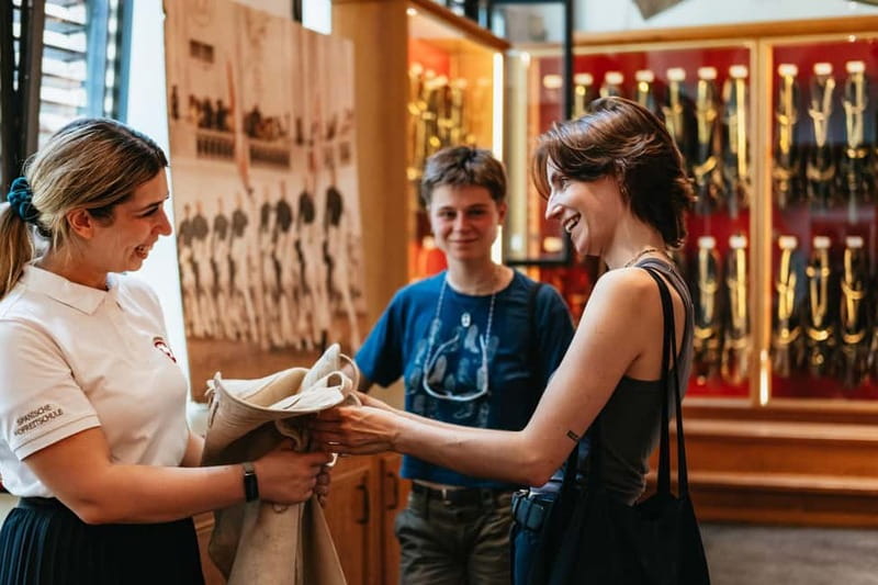 Vienna: Spanish Riding School Guided Architectural Tour - The Ladder to Vienna’s Old Town View