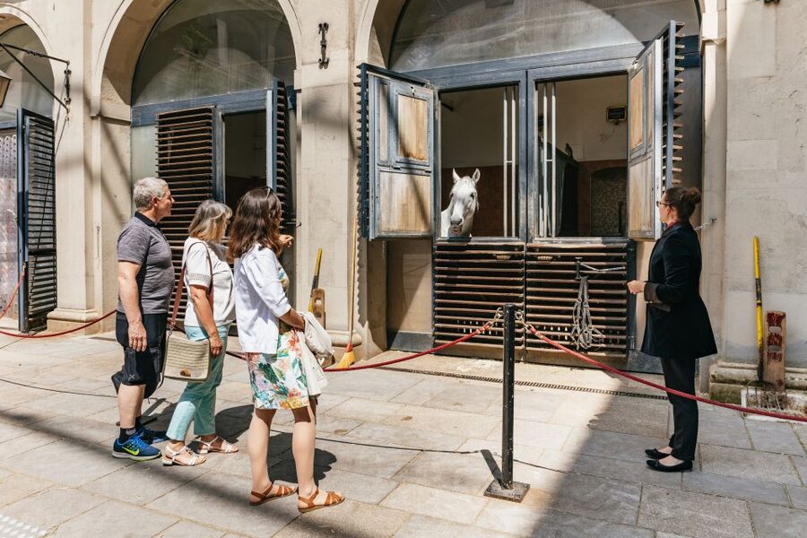 Vienna Spanish Riding School Guided Tour - The tack room and the practical side of performance