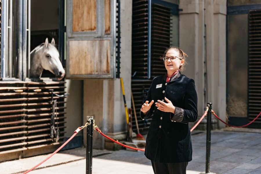 Vienna Spanish Riding School Guided Tour - The $28 price and what you receive