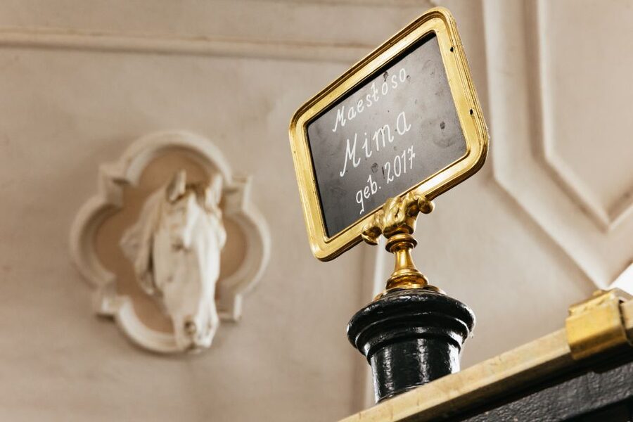Vienna Spanish Riding School Guided Tour - Rules, accessibility, and useful planning advice