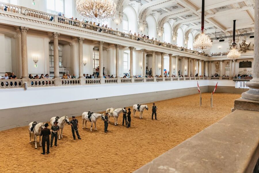 Vienna: Spanish Riding School Training - Key points to know before you go