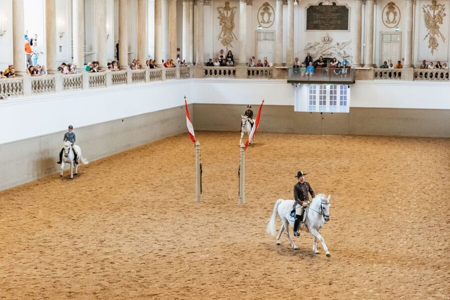 Vienna: Spanish Riding School Training - Entering Vienna’s Winter Riding Academy