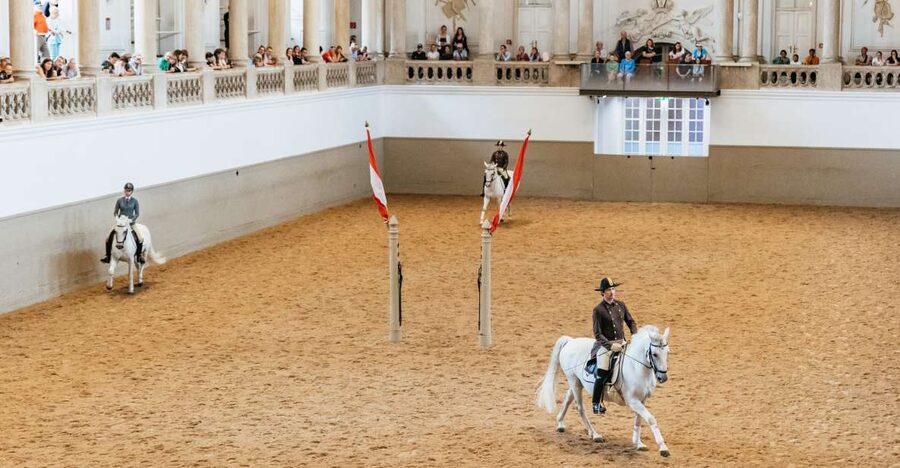 Vienna: Spanish Riding School Training - Two groups, one hour, and changing levels of skill