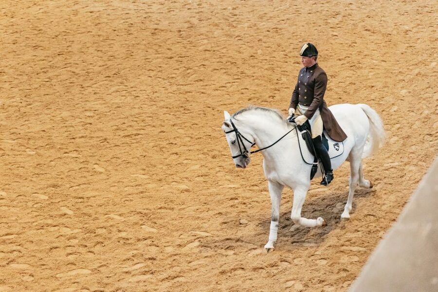 Vienna: Spanish Riding School Training - Is this suitable for children and non-riders?