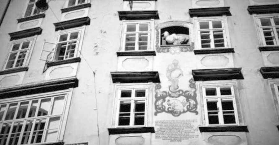 Vienna: Spooky Ghost Tour in English - Through Vienna’s cobbled historic center