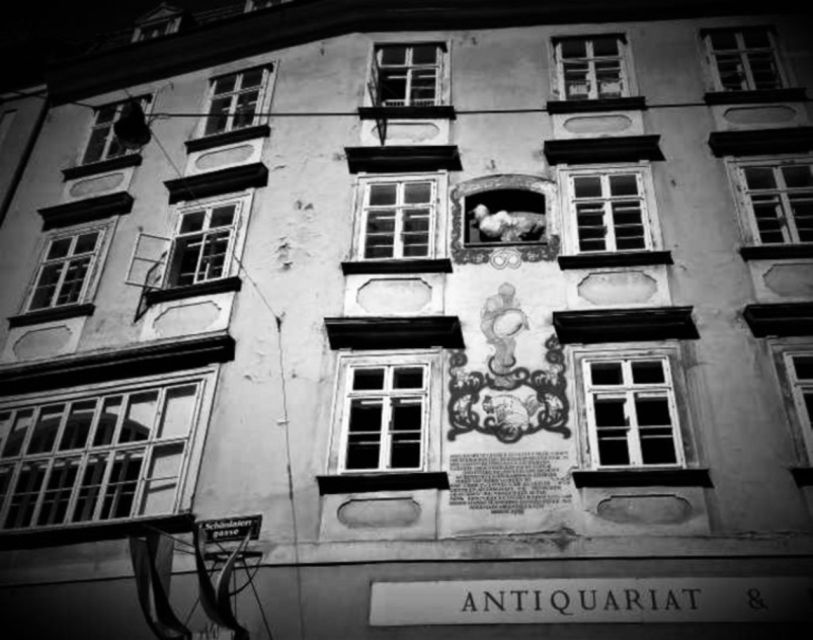 Vienna: Spooky Ghost Tour in English - Starting at Helmut Zilk Square