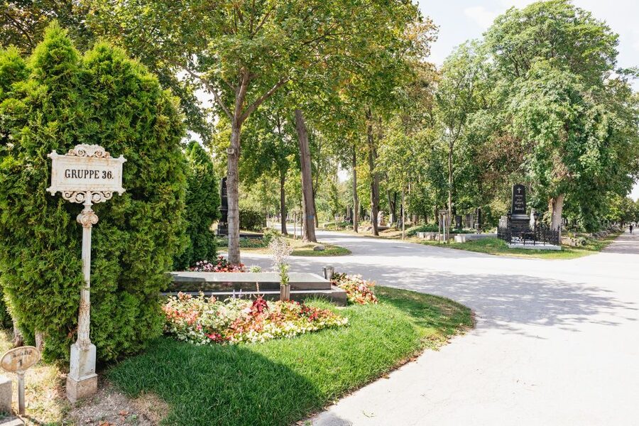 Vienna: Vienna Central Cemetery Guided Walking Tour - Who should take this cemetery tour?