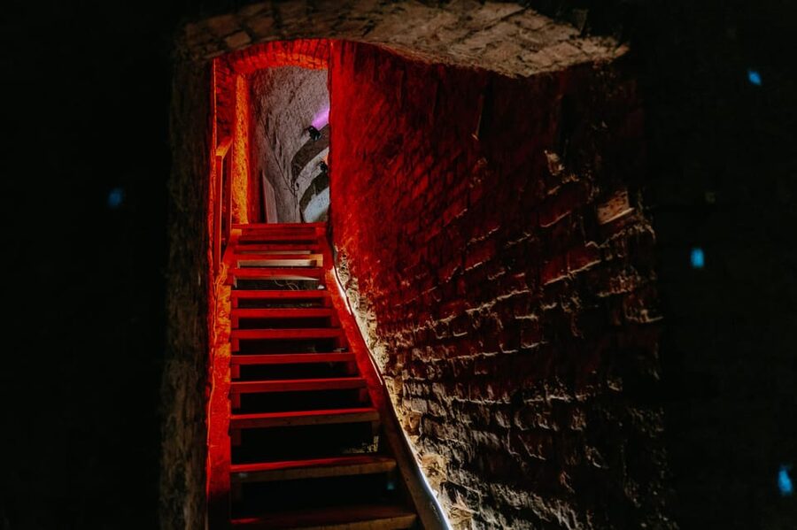 Vienna: Viennese Underworld Guided Walking Tour - What the Viennese Underworld tour is really about