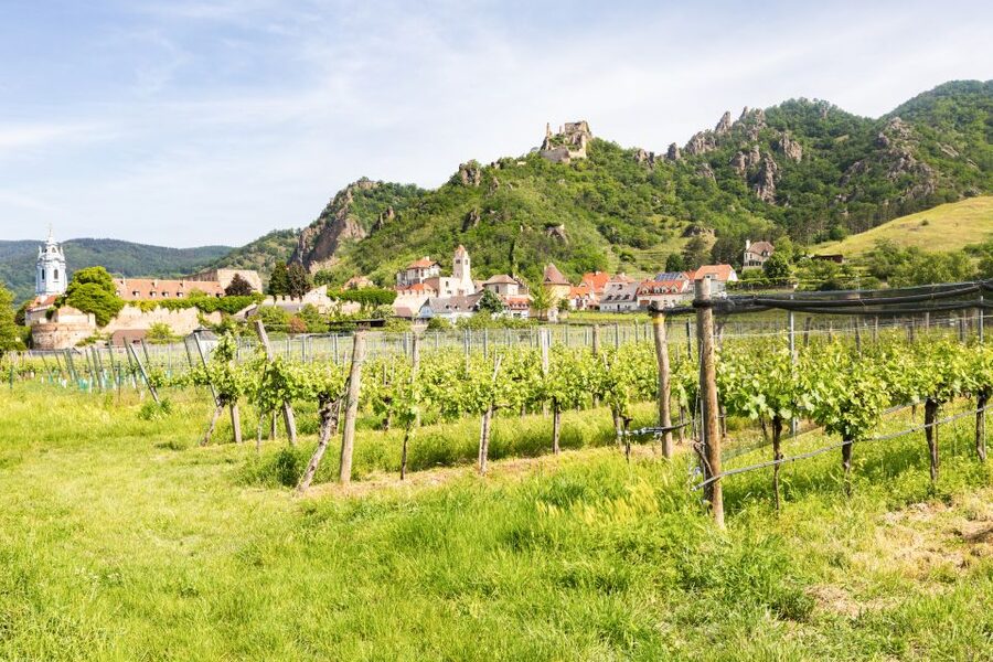 Vienna: Wachau Valley, Melk Abbey Tour with Danube Boat Trip - Melk town and the hour before the abbey