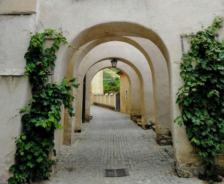 Vienna: Wachau Valley Private Kayak and Wine Tour - Who will enjoy this day most