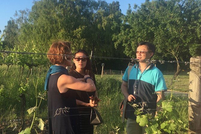 Vienna Wine Experience - Grinzing, Kahlenberg, and the view over Vienna