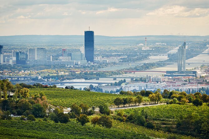 Vienna Wine Experience - Cancellation and weather details