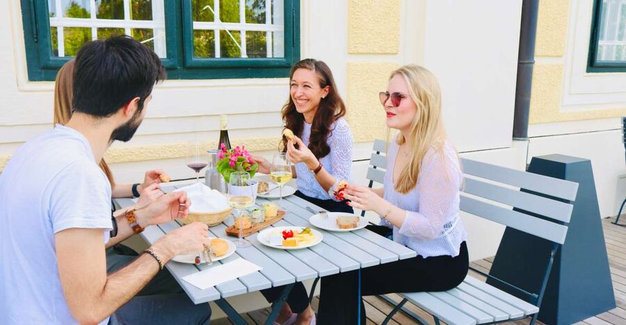 Vienna: Wine Tasting at Schönbrunn Palace - Why Vienna wine belongs at Schönbrunn