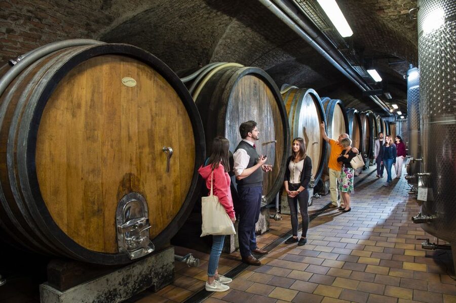 Vienna: Wine Tasting E-Bike Tour - Key points to know before you book