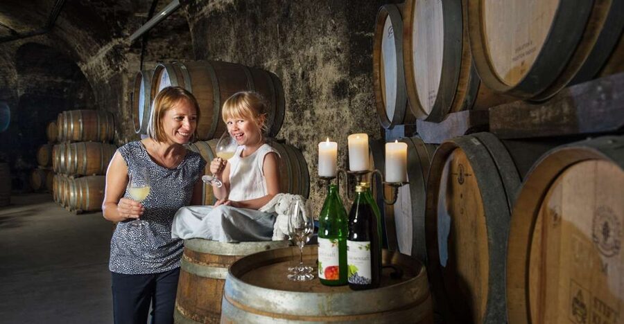 Vienna: Wine Tasting E-Bike Tour - From Vienna’s Ringstrasse to the Danube Canal
