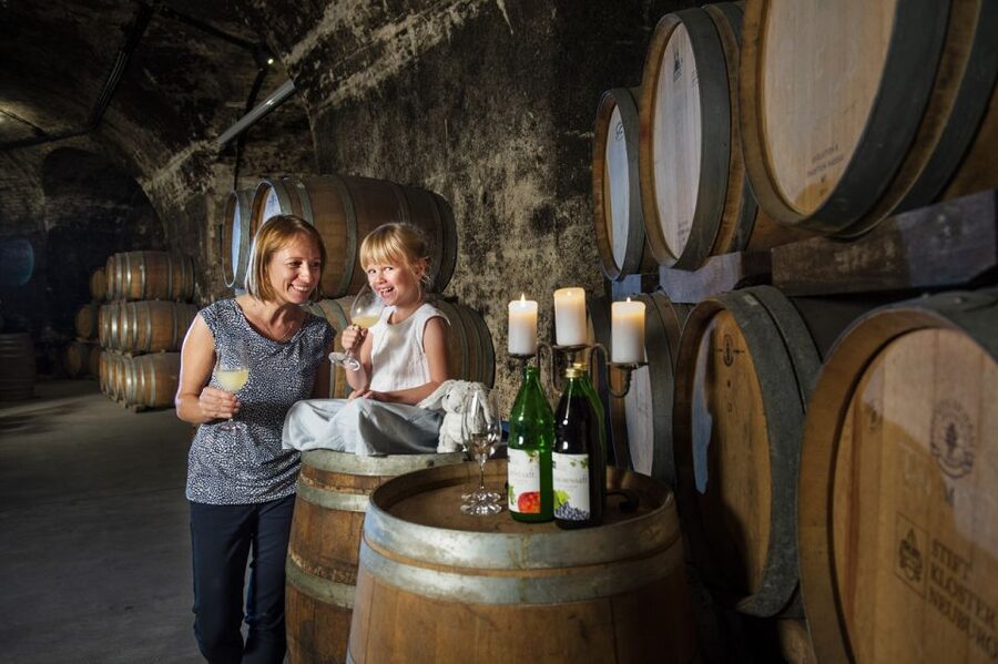 Vienna: Wine Tasting E-Bike Tour - Reaching Klosterneuburg by e-bike