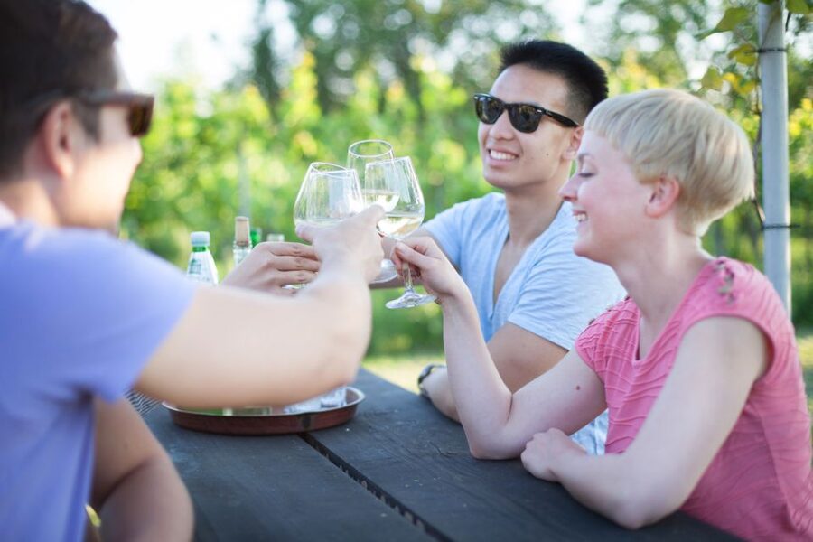 Vienna: Wine Tasting E-Bike Tour - Guides, group rhythm, and practical comfort