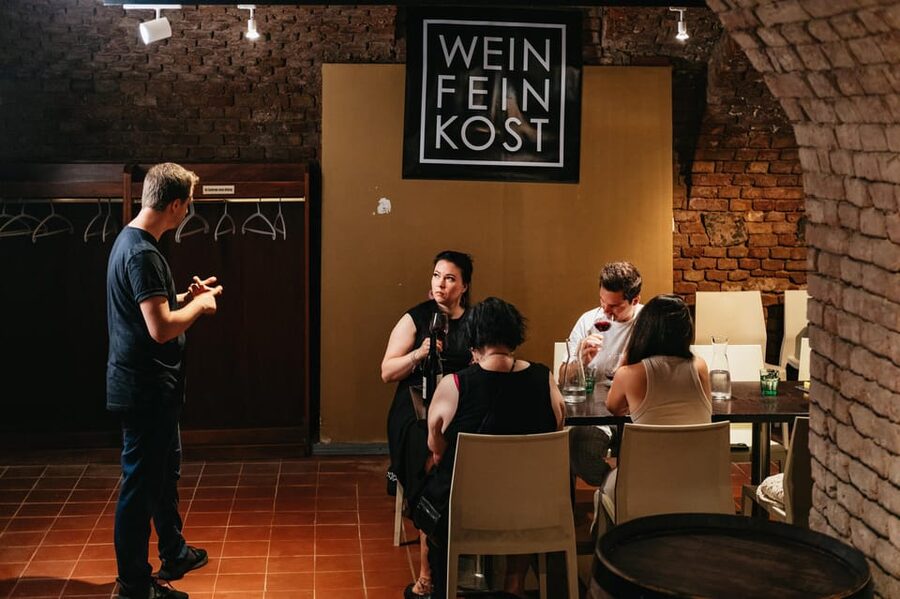 Vienna: Wine Tasting Experience in a Private Wine Cellar - The 2.5-hour route through three cellars
