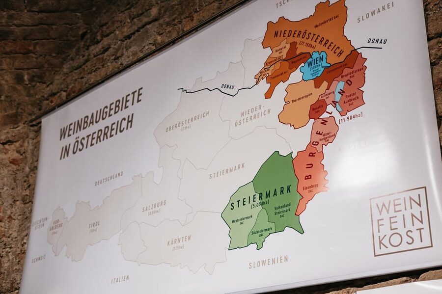 Vienna: Wine Tasting Experience in a Private Wine Cellar - The 30-minute self-guided option