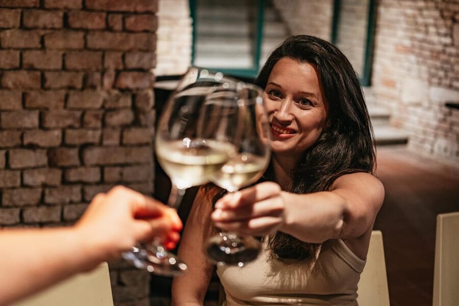 Vienna: Wine Tasting Experience in a Private Wine Cellar - Food pairings: cheese, meat, bread, and chutney