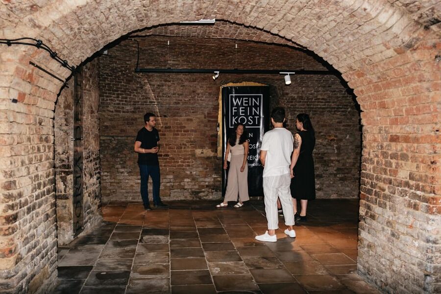 Vienna: Wine Tasting Experience in a Private Wine Cellar - Atmosphere, group size, and the social side