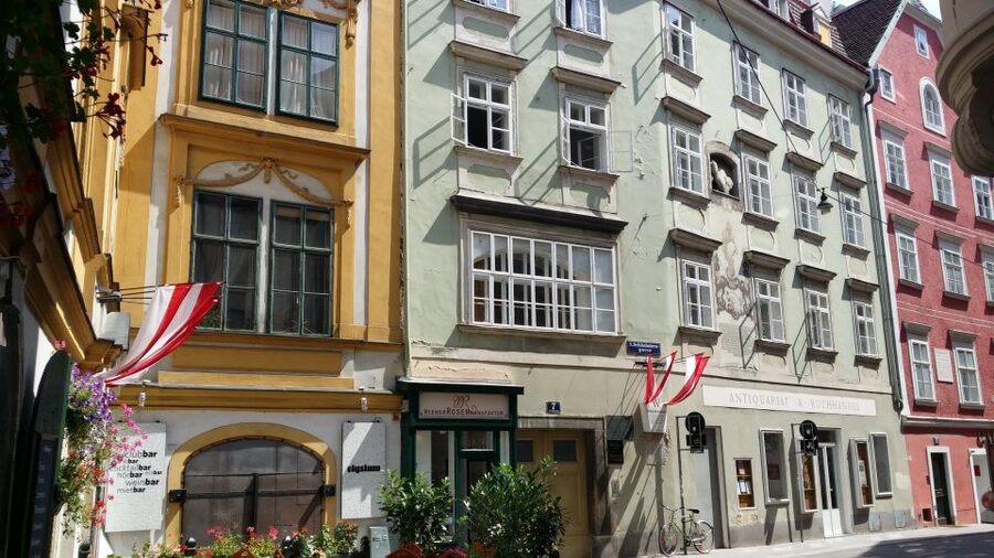 Vienna: Wine Tasting in a 600 year historical wine cellar - Entering a private medieval cellar in central Vienna