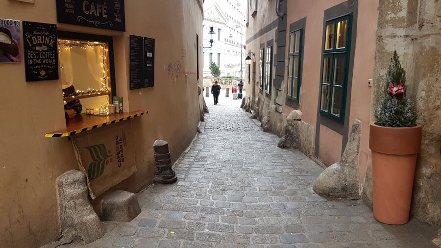 Vienna: Wine Tasting in a 600 year historical wine cellar - Who should book this experience?