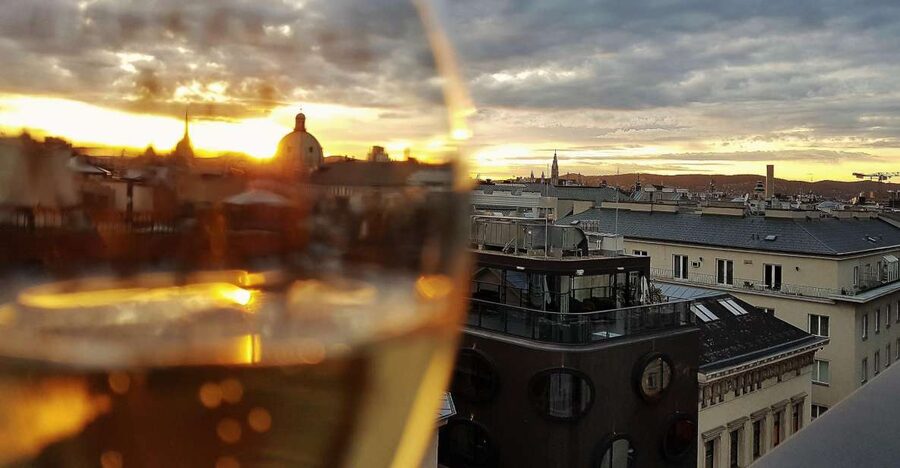Vienna: Wine Tasting Tour - Key points at a glance