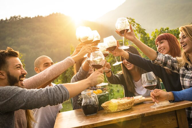 Vienna Wine Tasting Tour with Private Wine Expert - Meeting at Michaelerplatz 3