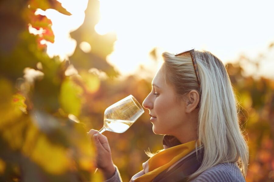 Vienna: Winery and Wine Tasting Tour with a Wine Expert - Why Vienna makes an excellent wine city