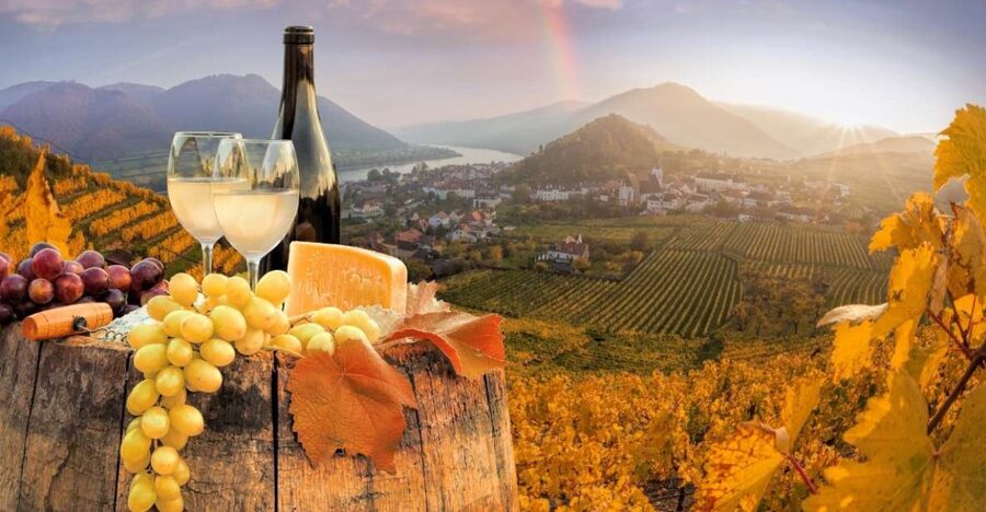 Vienna: Winery and Wine Tasting Tour with a Wine Expert - Adding food and city sights for three hours
