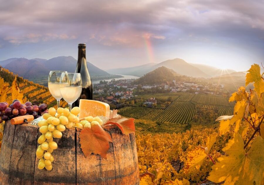 Vienna: Winery and Wine Tasting Tour with a Wine Expert - Is $309 per person a fair price?