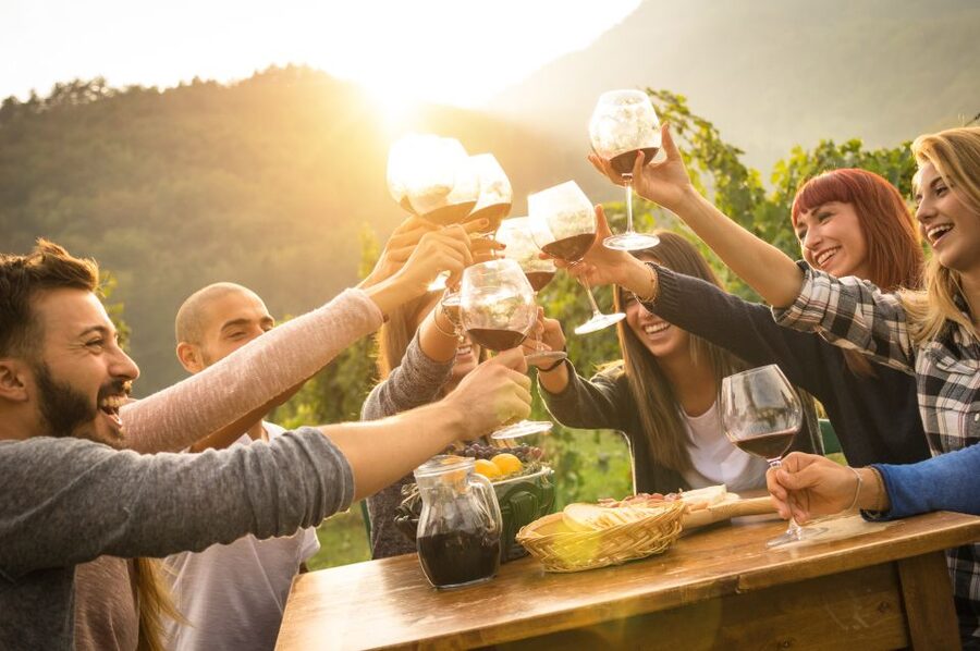 Vienna: Winery and Wine Tasting Tour with a Wine Expert - Who will enjoy this most?