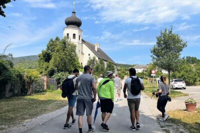 Vienna Woods Wine Tour – Wines, Vines & Good Times!