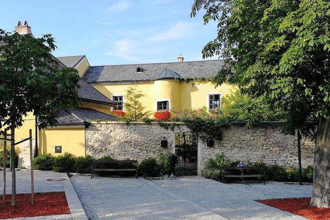 Vienna Woods Wine Tour - Wines, Vines & Good Times! - Meeting the winemaker for the main tasting