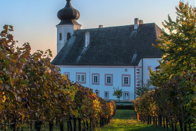 Vienna Woods Wine Tour - Wines, Vines & Good Times! - Why the small group matters