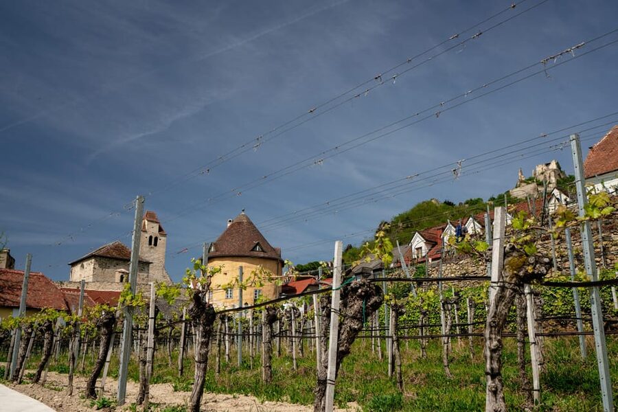 Wachau Valley: 3 Castles & Wine Private Guided Day Tour - Melk Abbey brings Baroque drama
