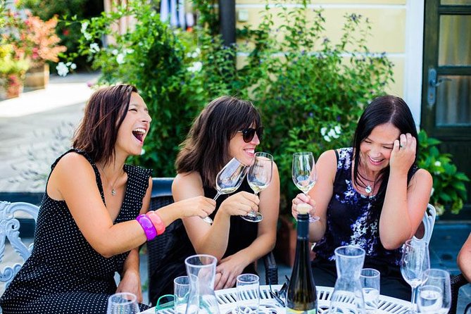 Wachau Valley Small-Group Tour and Wine Tasting from Vienna - The Danube cruise from Spitz to Melk
