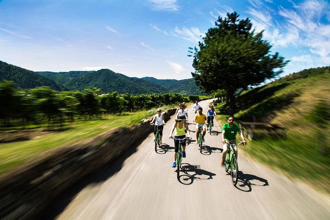 Wachau Valley Wine Tasting Bike Tour from Vienna - Weissenkirchen and the Family Winery