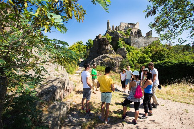 Wachau Valley Wine Tasting Bike Tour from Vienna - Wine Tasting and Local Specialties