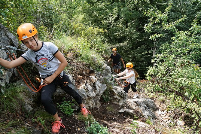 Waldseilpark Wörthersee - The Approach Feels More Alpine Than a Playground