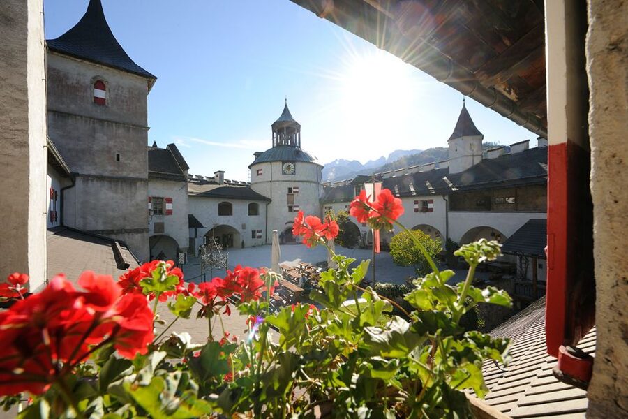 Werfen: Hohenwerfen Castle Entrance Ticket - Who Will Enjoy Hohenwerfen Castle Most?