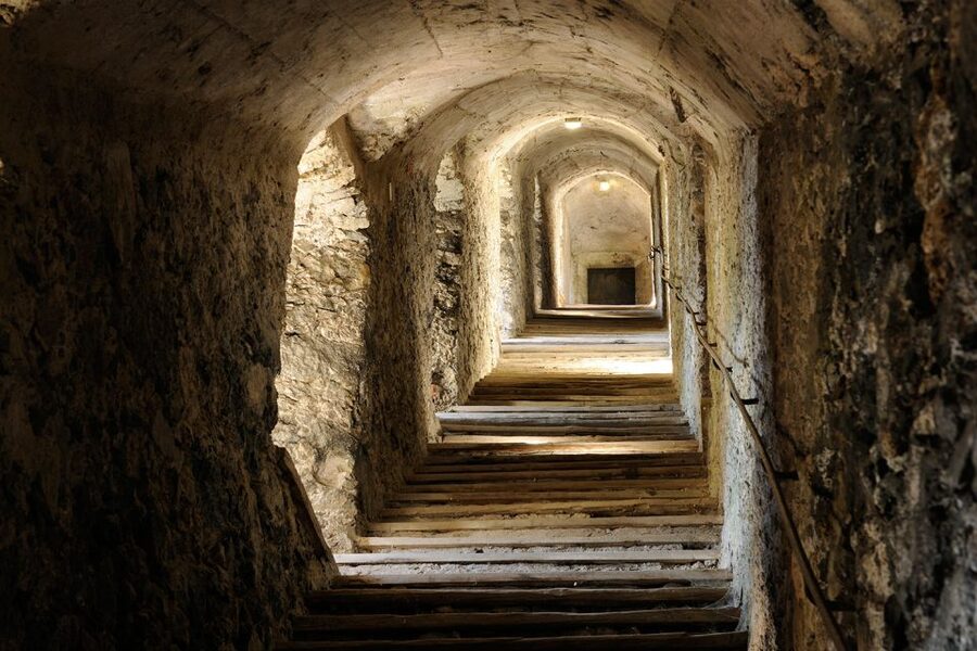 Werfen: Hohenwerfen Castle Entrance Ticket - The Falcon Show at the State Falconry Center
