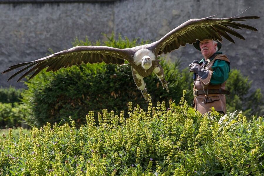 Werfen: Hohenwerfen Castle Entrance Ticket - Interactive Exhibitions for Families and Curious Adults