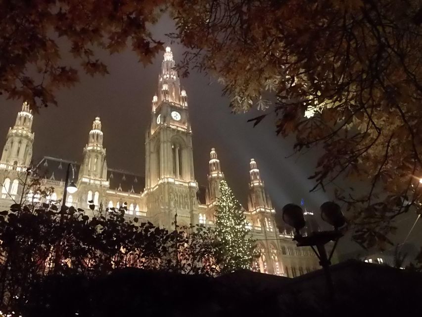 Wien: Tour with locals on the trails of the Christmas Tree - Walking through Vienna’s historic center