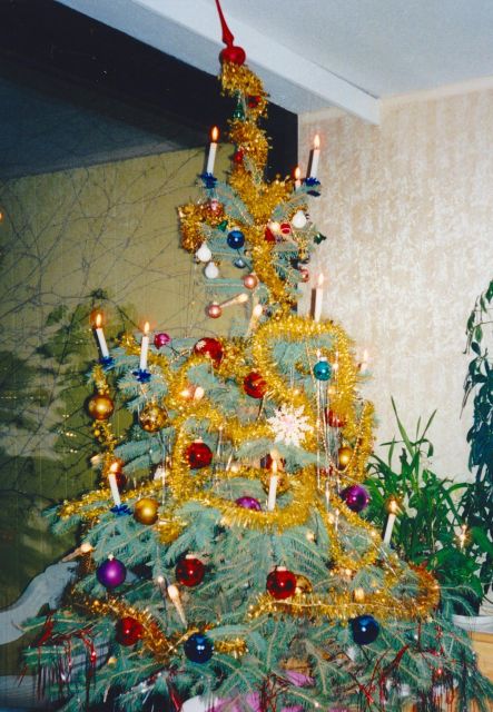 Wien: Tour with locals on the trails of the Christmas Tree - The first Vienna Christmas tree location