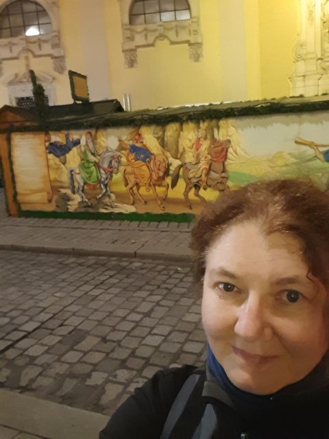Wien: Tour with locals on the trails of the Christmas Tree - The Albertina stop and the city’s illuminated streets