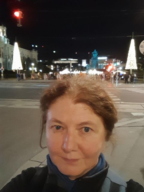 Wien: Tour with locals on the trails of the Christmas Tree - What the $62 price really covers